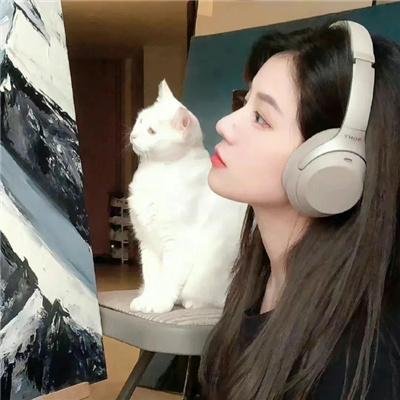 信任危机