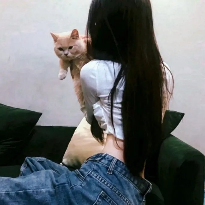 与鸭共舞